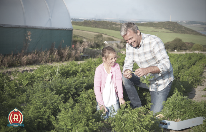 Is Donald Trump a good role model?